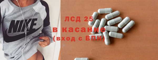 стаф Арсеньев