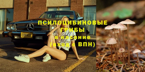 не бодяженный Армянск