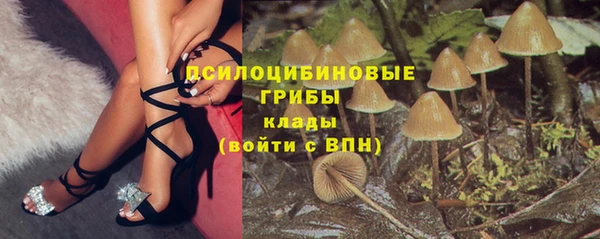 не бодяженный Армянск