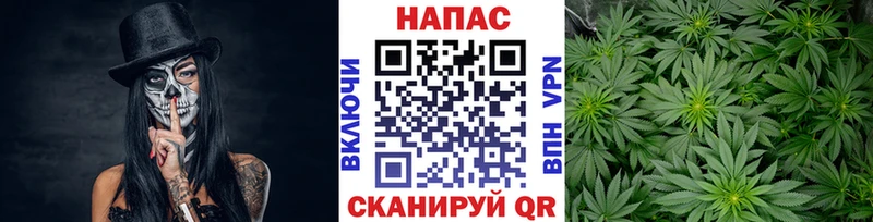 Марихуана OG Kush  Купить  Среднеуральск 